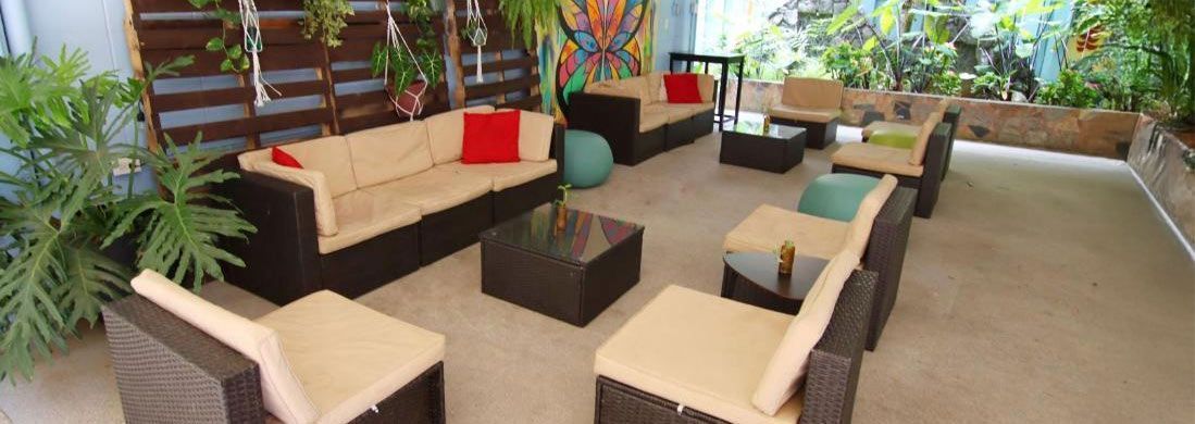 A living room with a lot of furniture and plants.