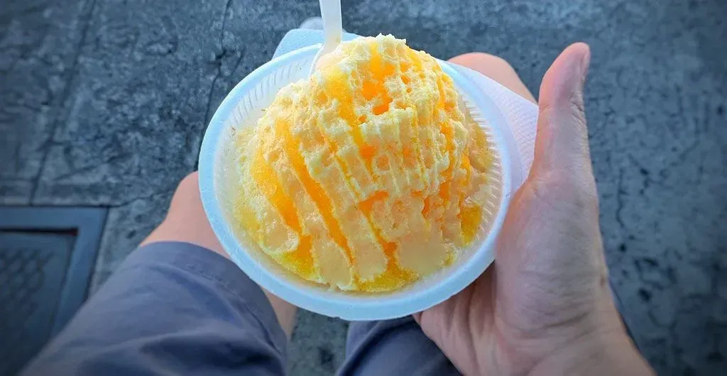 A person is holding a bowl of ice cream with a spoon in it.