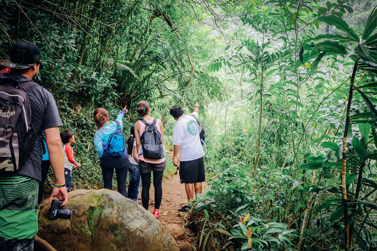 Hikers on the Manoa Falls rainforest trail on Oahu