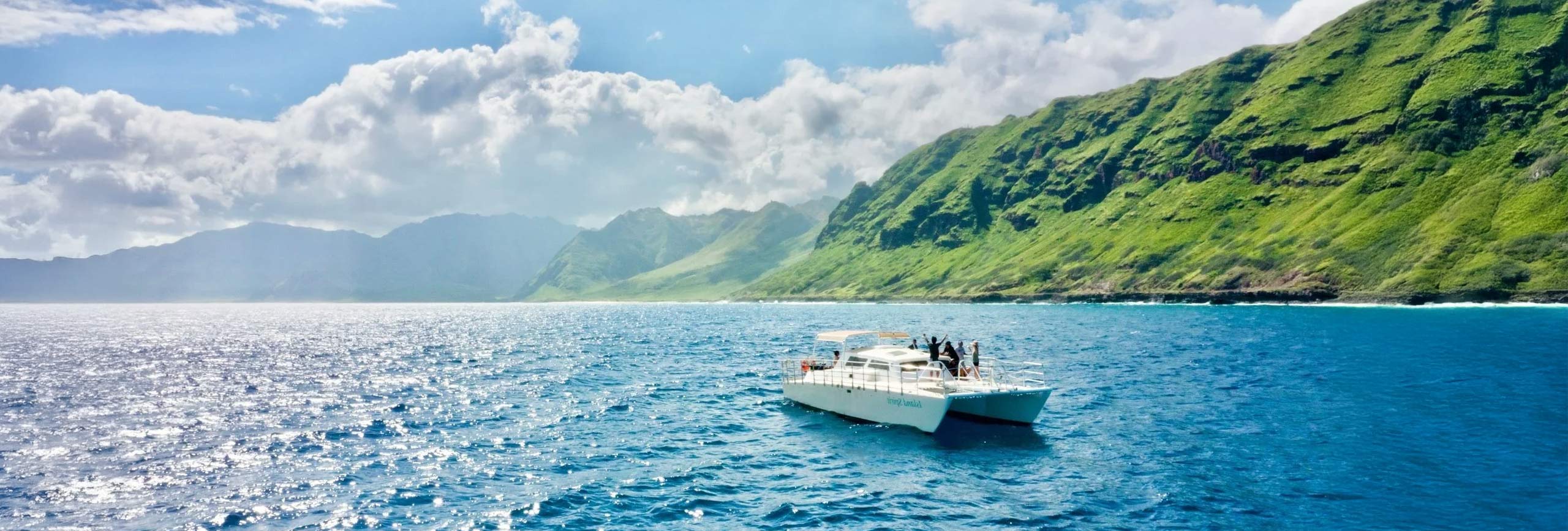 Wild spinner dolphins off the Waianae Coast of West Oahu